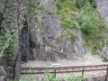 P1020006