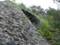 P1020048