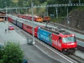 HPIM1683