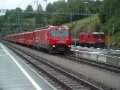 HPIM5008