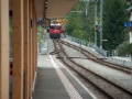 HPIM5275