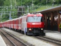 P1100446