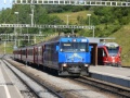 P1150016