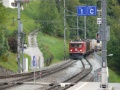 P1160529