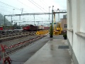HPIM4798