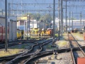 P1150333