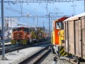 P1150339