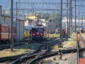P1150344