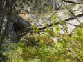 P1040686
