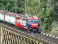 P1150098