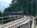P1100369