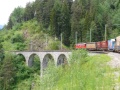 P1100589