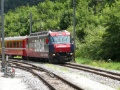 P1150498