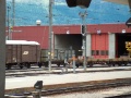 HPIM4111