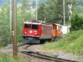 P1010978