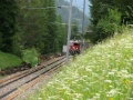 P1020395