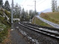 P1030938