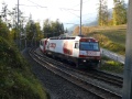 P1040542