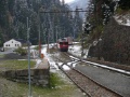 P1040590