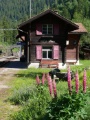 P1050503