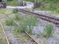 P1100777