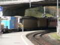 P1010249