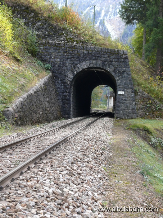 P1030855.JPG - Faleinerweg Tunnel