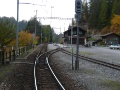 Wiesen