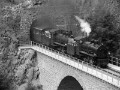 P1170209sw