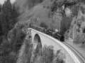 P1170211sw