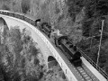 P1170213sw